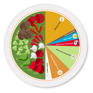 eat lancet phd plate rgb 02 792x390px