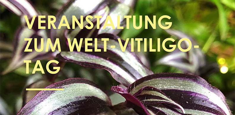 einladung 792x390px